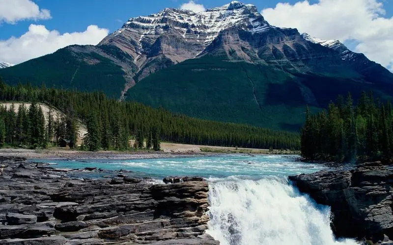 先进电子高质量